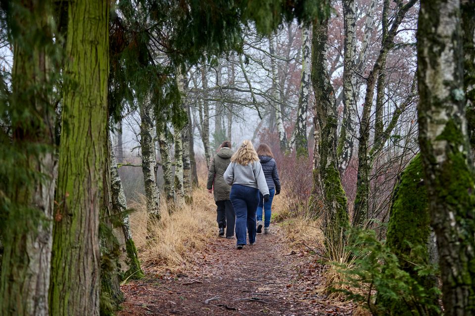 Vriendinnen wandelen over landgoed