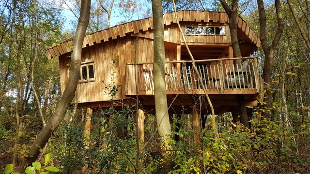 Boomhut XXL Reeënwissel