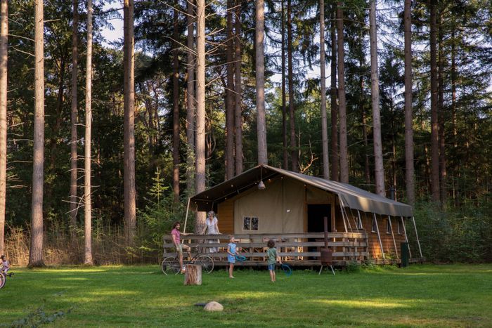 Een gezin staat bij een tent op de camping, midden in het bos.