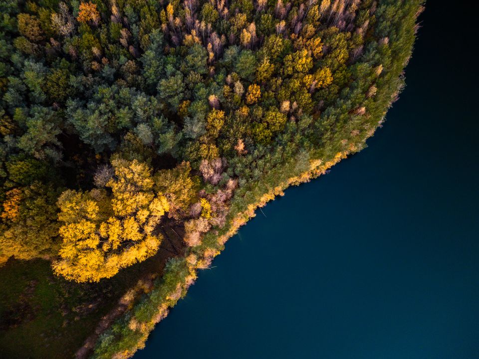 Dronefoto van een bosgebied aan het water in Nationaal Park Hoge Kempen