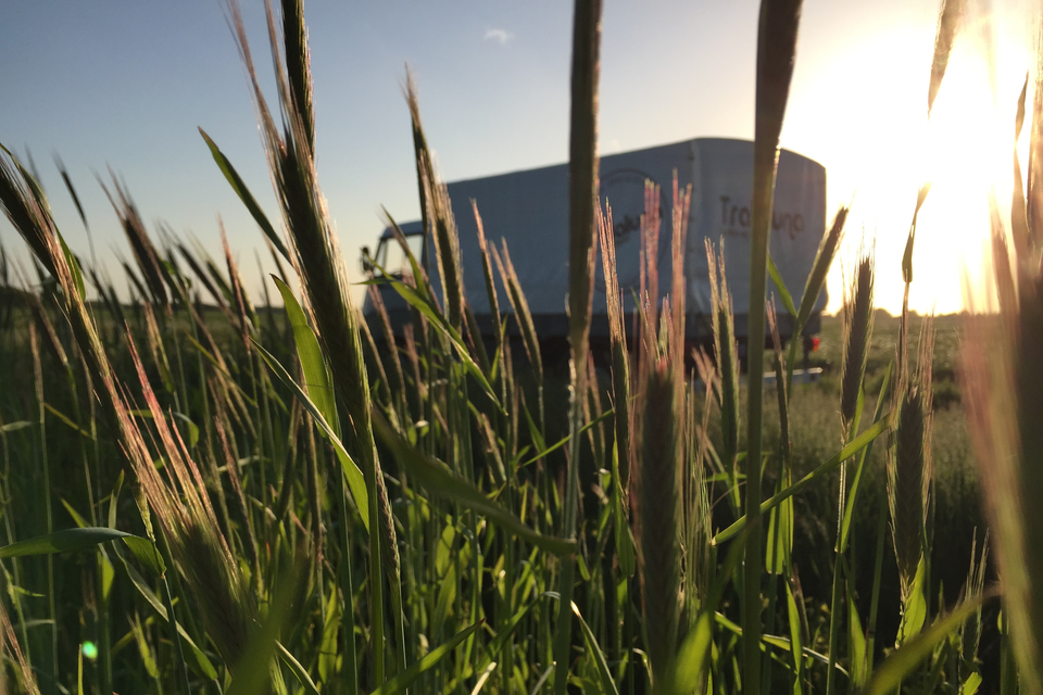 Een retro camperbusje.