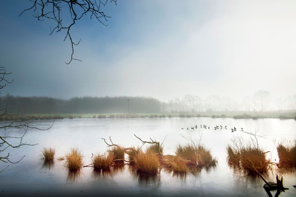 Door de Noordelijke Friese Wouden