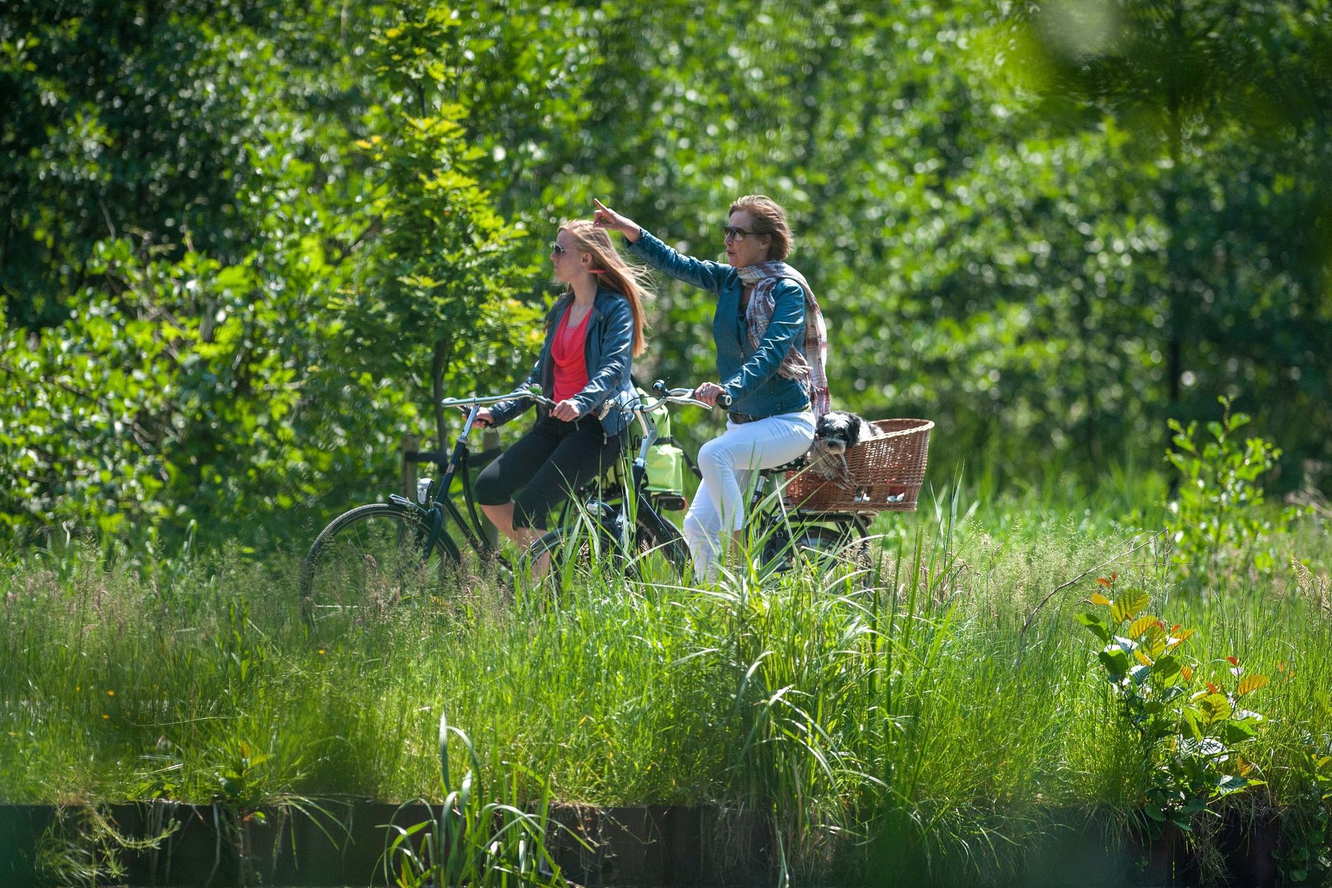 Fietsen in Deurne