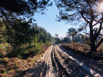Oirschotse heide