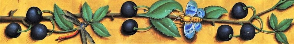 Randversiering uit het Commodorum Ruralium Liber, manuscript  van omstreeks 1305, stadstaat Bologna.