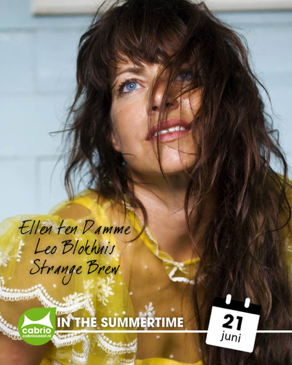 Een poster van In the Summertime