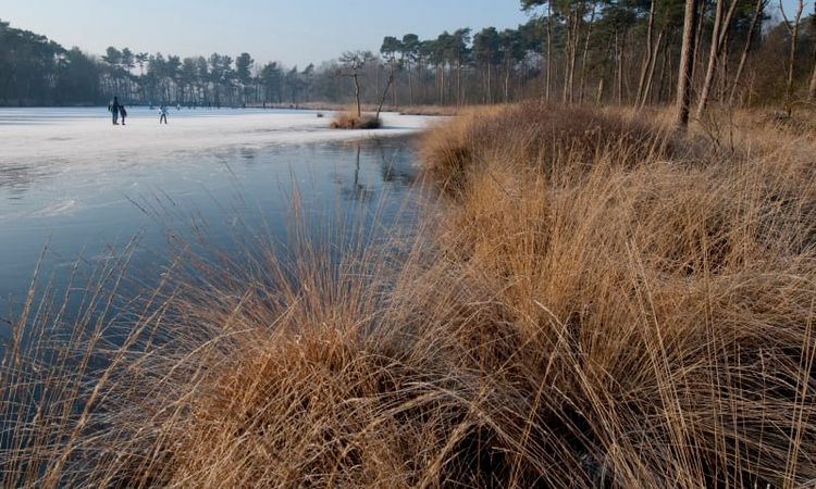 Foto van een bevroren ven in de Oisterwijkse Bossen en Vennen waarop wordt geschaatst.