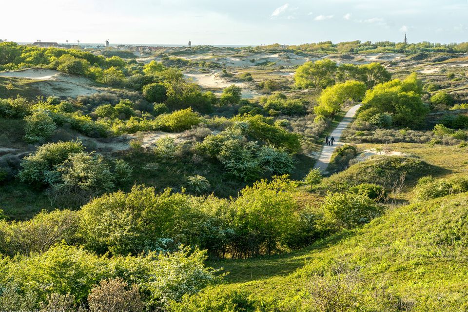 Uitzicht over de duingebieden bij Katwijk aan Zee