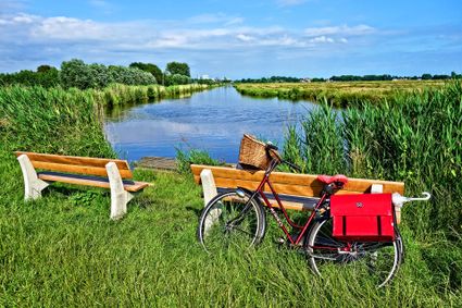 Pixabay beeldbank Fietsen Weide groen veen