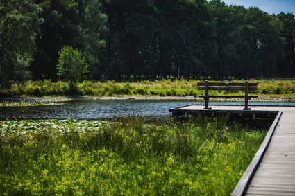 Heidebloemplas steiger
