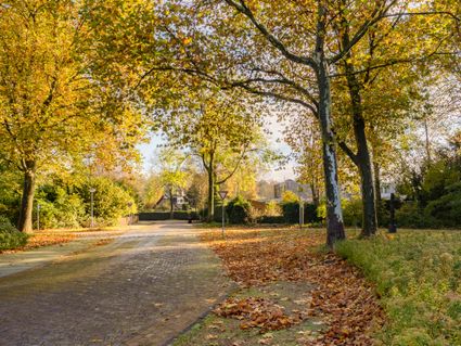 Een foto van een woonwijk in de herfst