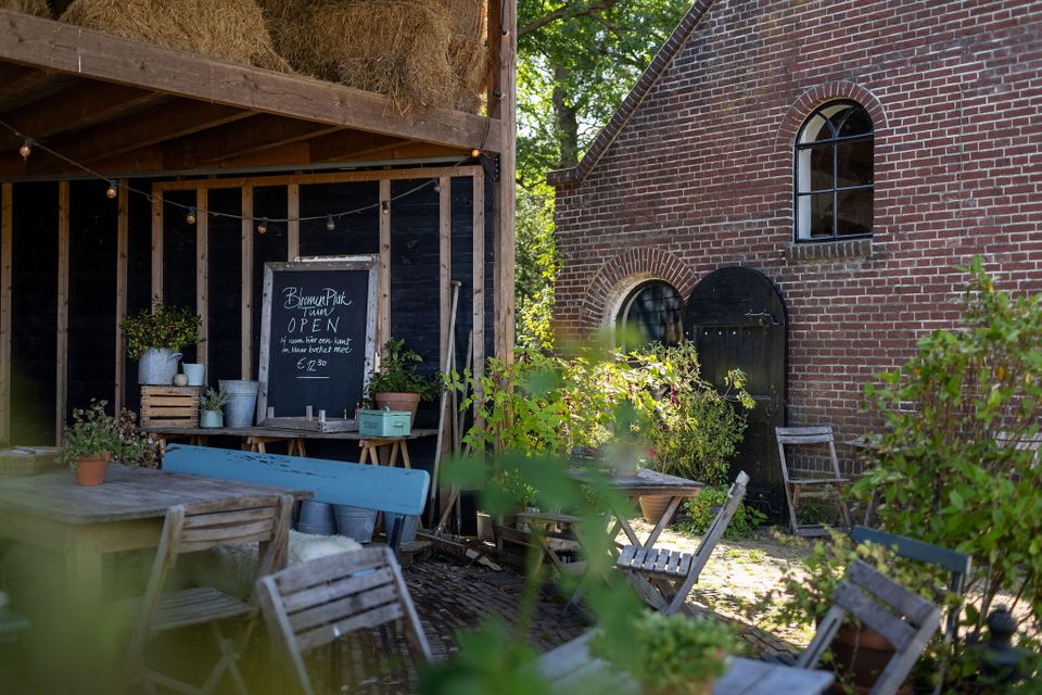Landgoed Hof van Gunterstein in Breukelen, gemeente Stichtse Vecht, regio Utrecht. Sfeervol terras tussen groen met houten tafels en stoelen, een open houten schuur en een historische bakstenen boerderij met boogramen.