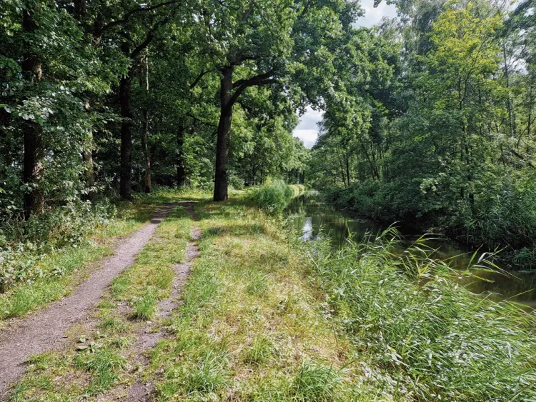 De Beerze