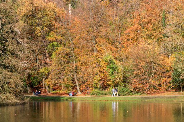Sonsbeek Park in autumn