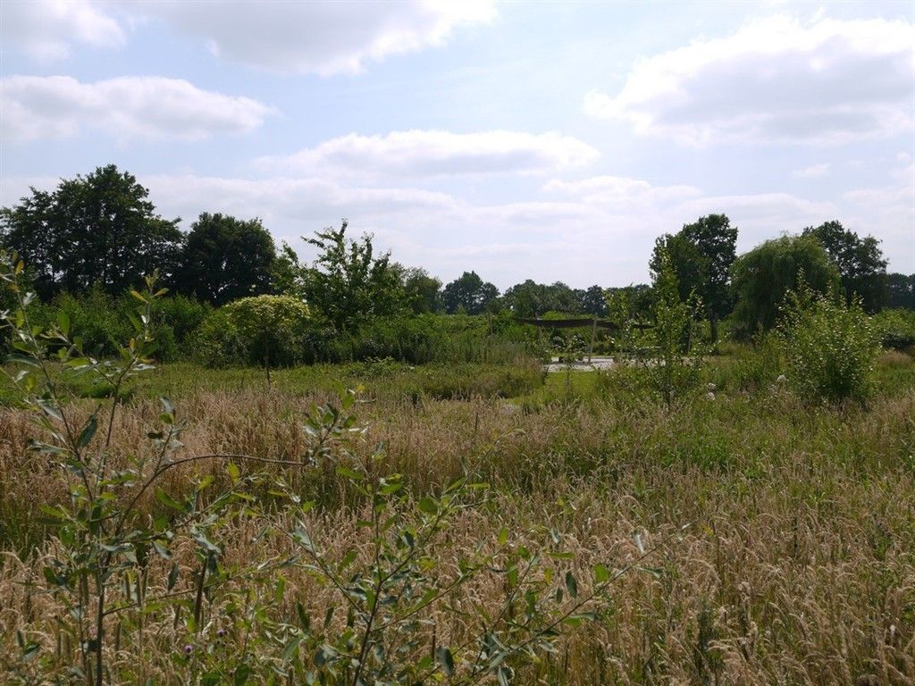 Toon Kortoomspark uitzicht over de Peel