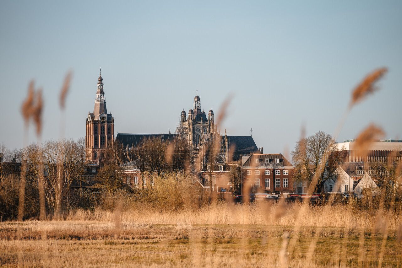 Sint Jan gezien vanuit Bossche Broek