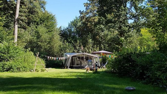 Camping De Ruimte - Photo 3