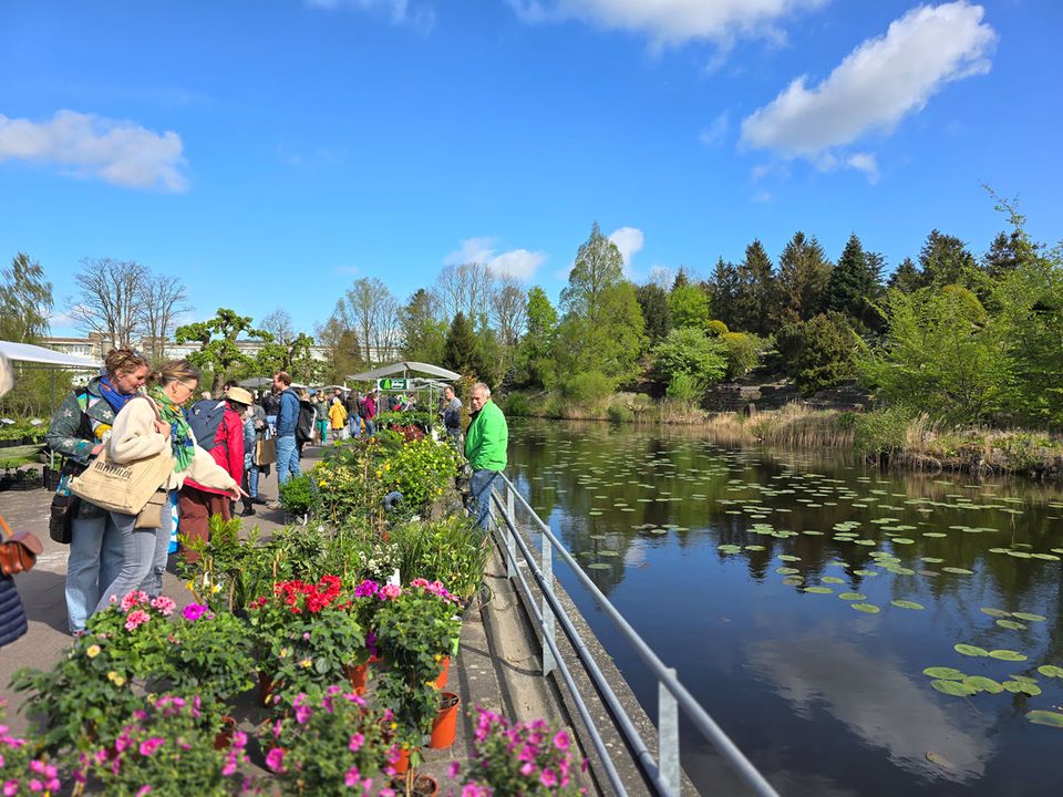 Plantenmarkt met mensen die plantjes bekijken langs het water.