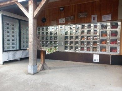 Een muur met automaat zoals een snackbar, maar dan voor fruit