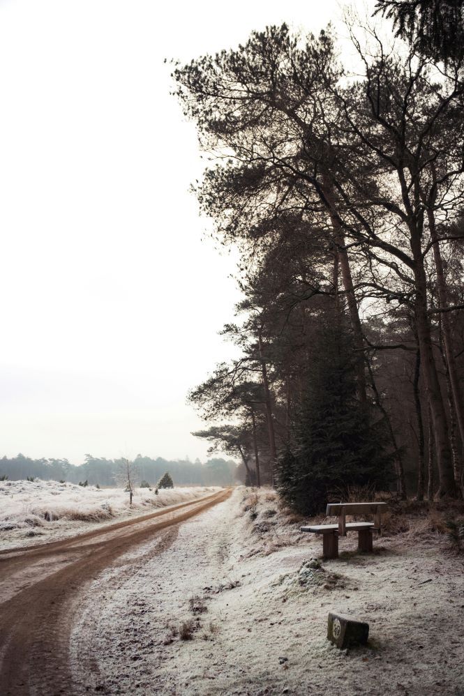 Een bankje langs een wandelpad in een winterse omgeving