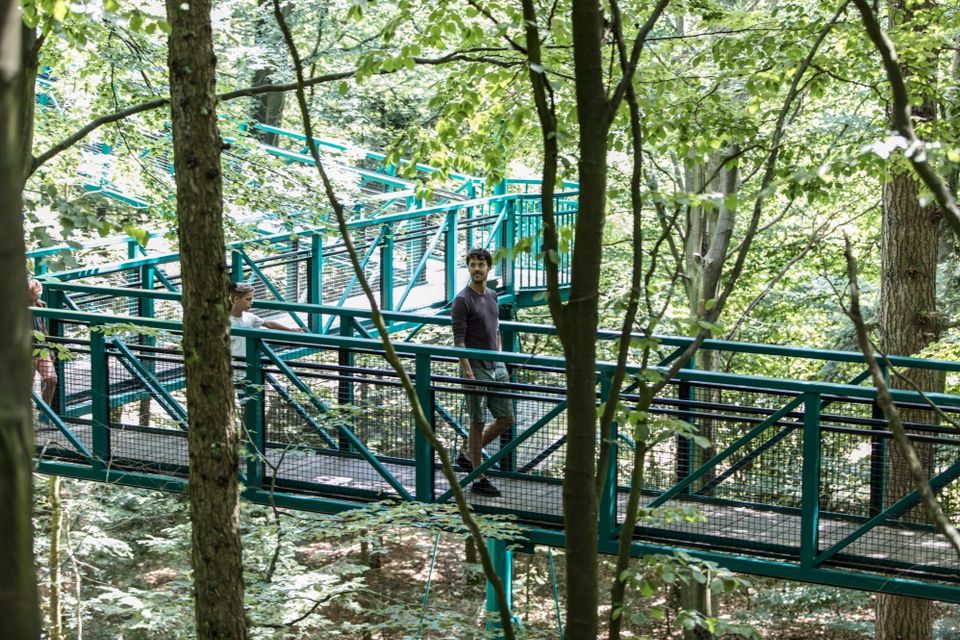 Baumkronenpfad