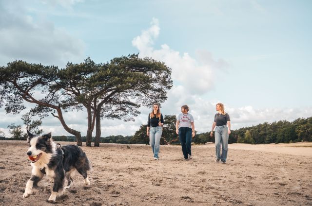 Wandelen met hond in De Lange Duinen