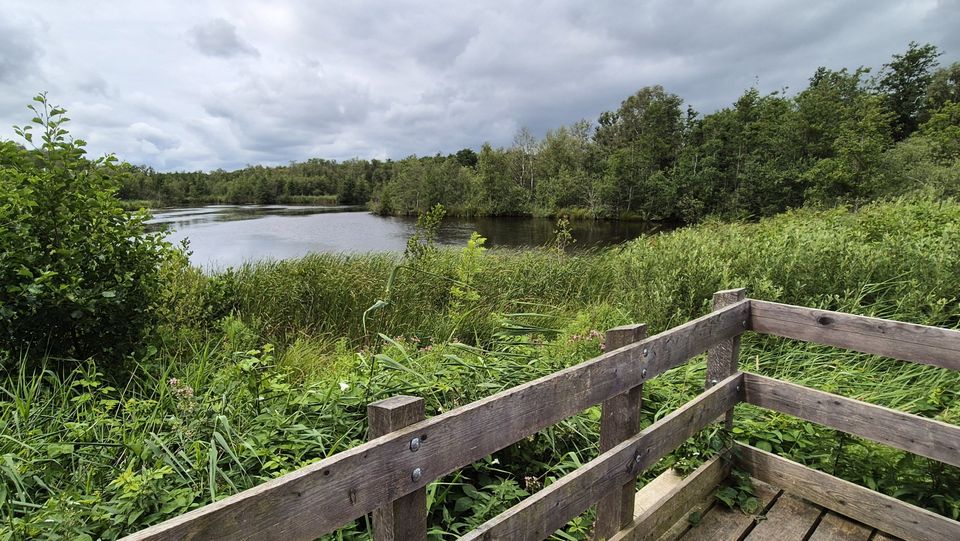 Heerenveen-De Heide: waterrijk Friesland