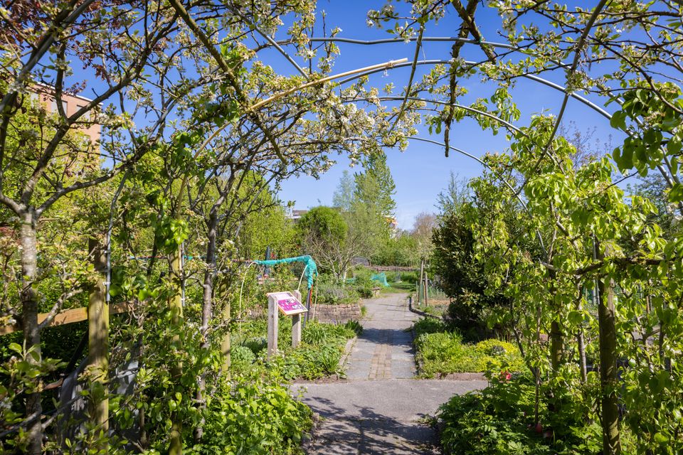 Op de foto kijk je door een poort van groen naar een recht pad. Aan beide zijden van het pad zijn vakken met veel planten er in.