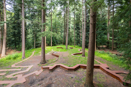 Zwaartepunt van Nederland