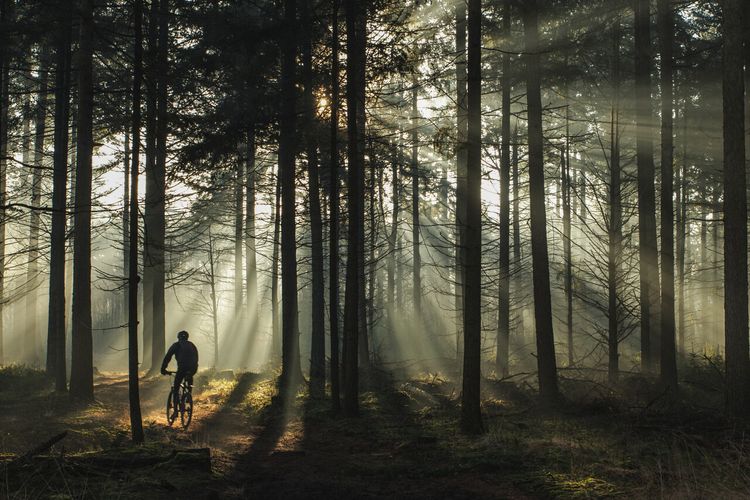 1 mountainbiker tijdens een parcours