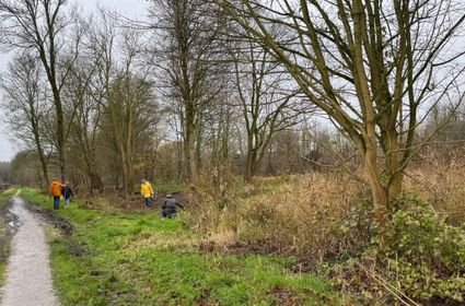 Bloembollen planten