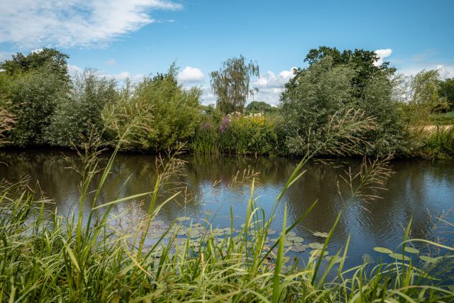 Peppellandschap van de Meierij met uitzicht op de Dommel