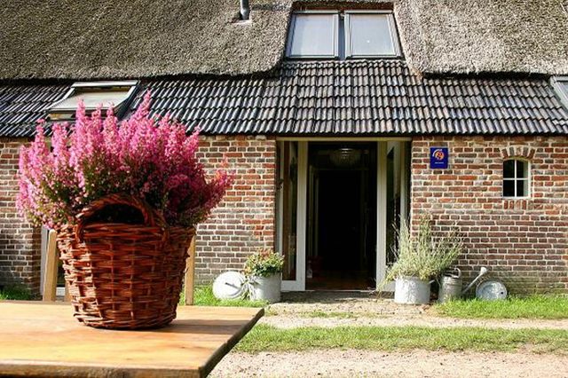 Typisch Drents rietgedekte boerderij.