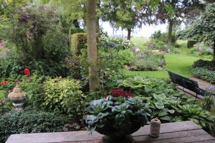 Septemberdagen bij de Roode Hoeve in Nijbroek