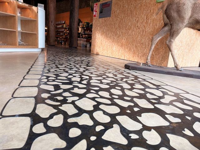 Een patroon van op de vloer afgedrukte oude Romeinse stenen loopt naar de ingang van het museum.