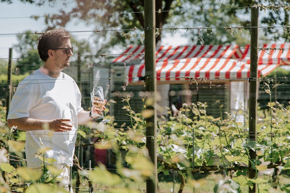 Man loopt met wijnglazen in de hand tussen de wijnranken