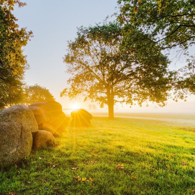 Dag van het Hunebed – Wandeling Oerbewoning Drentsche Aa