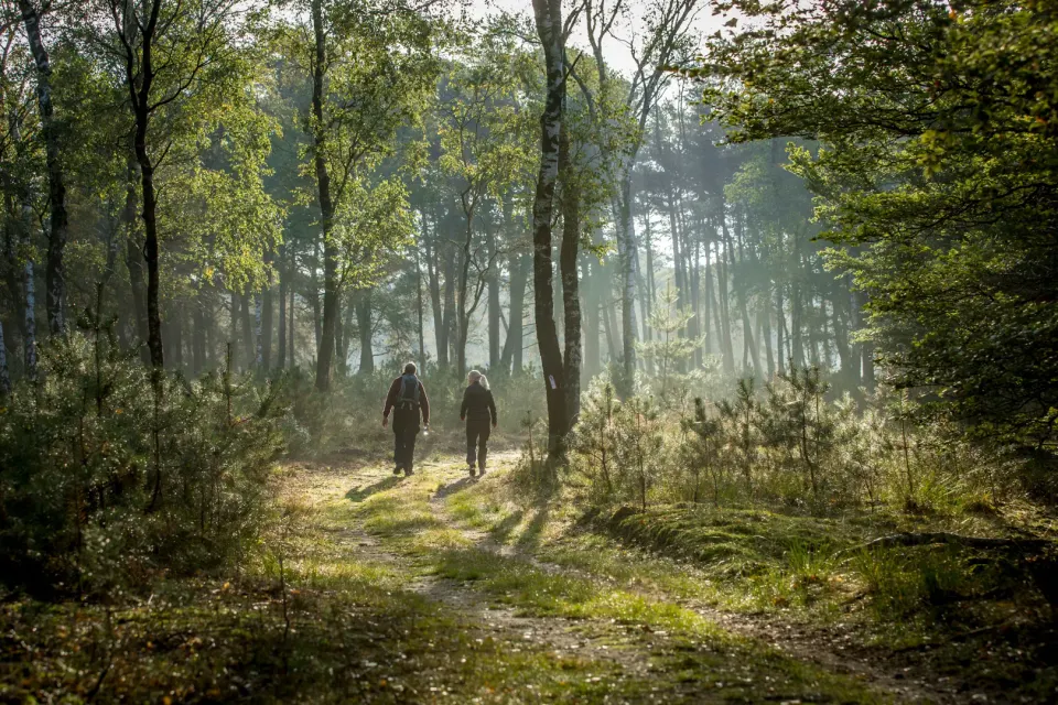 Hoge Veluwe Wandeldag