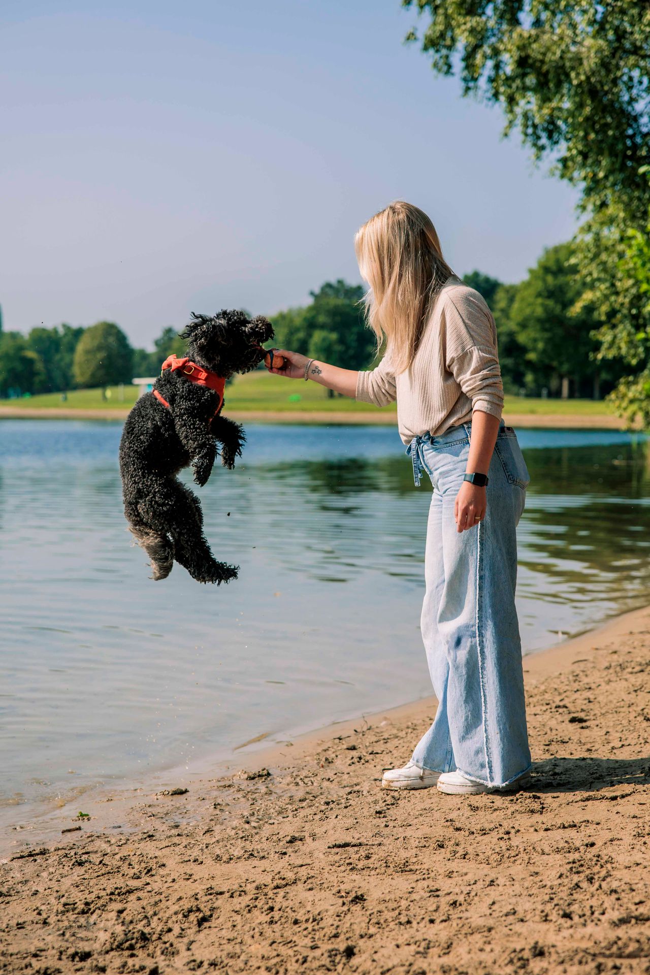 Hond springt in de lucht op recreatiegebied Stroombroek