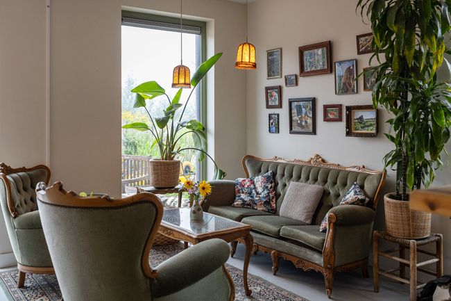 Tuinderij Land in Zicht met een sfeervolle ontmoetingsruimte, ingericht met groene vintage fauteuils, een klassieke bank, houten salontafel, kamerplanten en warme hanglampen.