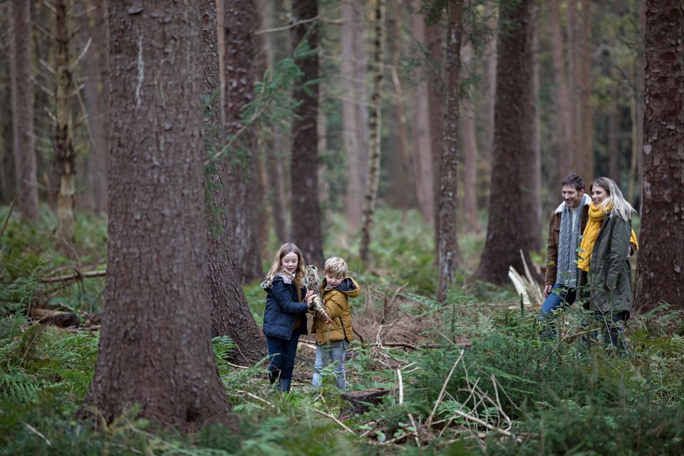 Een jongen en meisje tillen samen een grote tak door het bos terwijl hun ouders lachend achter hen aanlopen.