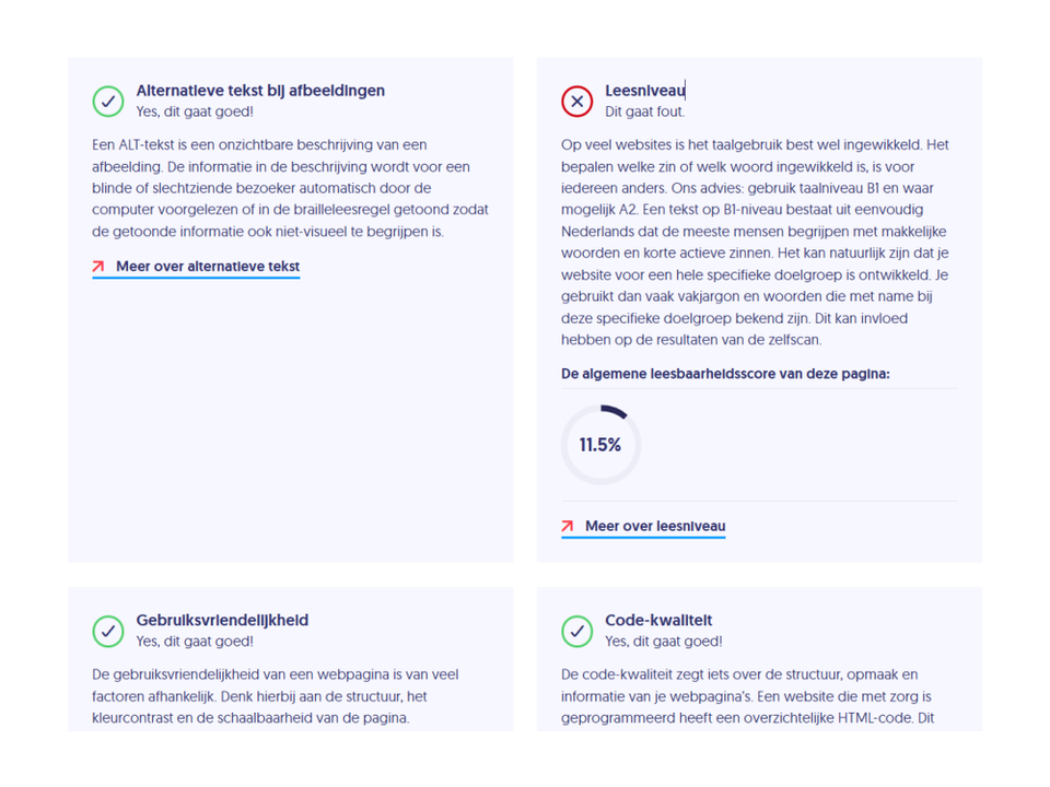 Rapport van een scan voor de toegankelijkheid van een website.