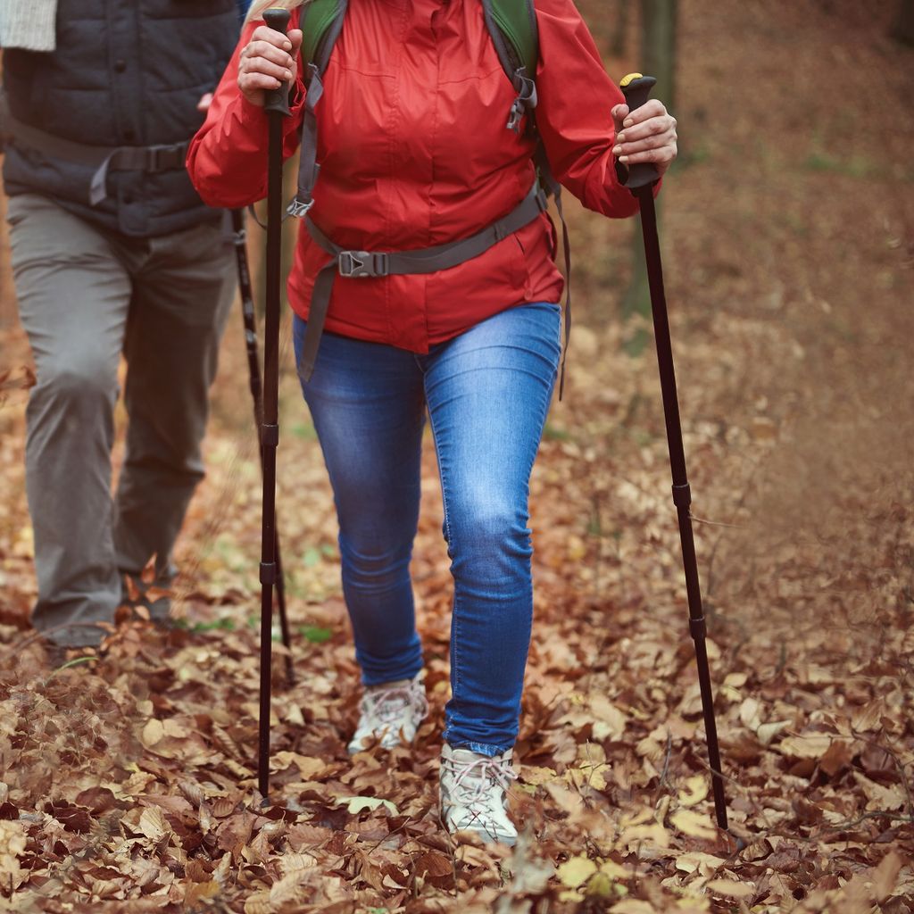 Herfstwandeling in Sneek voor het goede doel