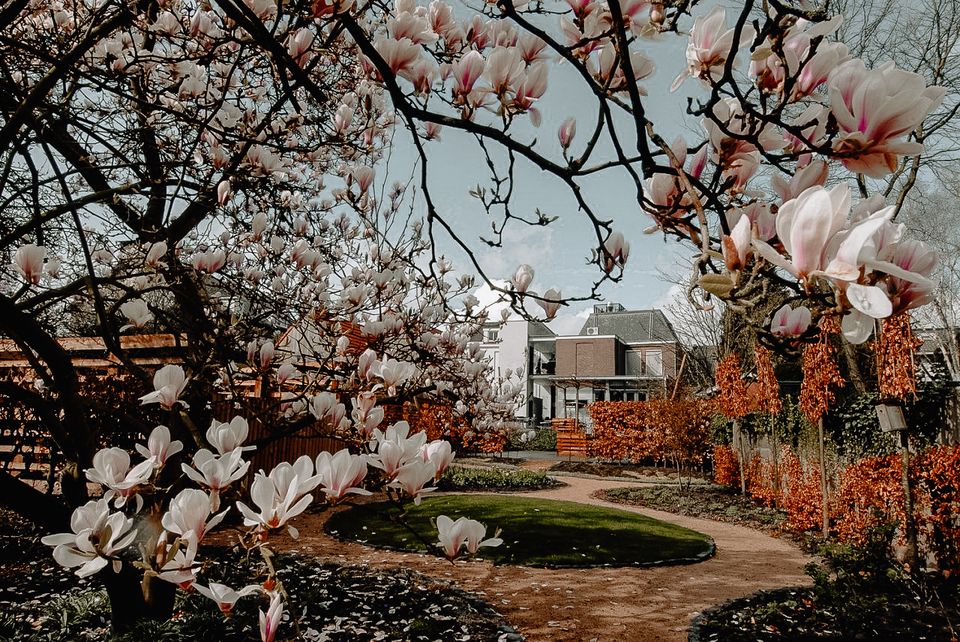 Van Gogh tuin Zundert