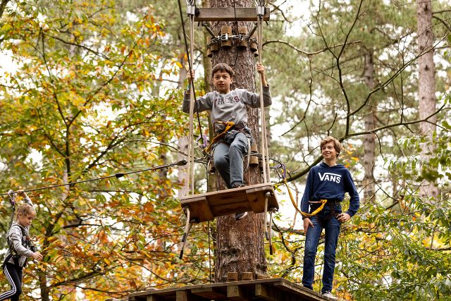 Twee jongens staan op een plateau hoog aan de boom, klaar voor het vervolgen van de klauter-route