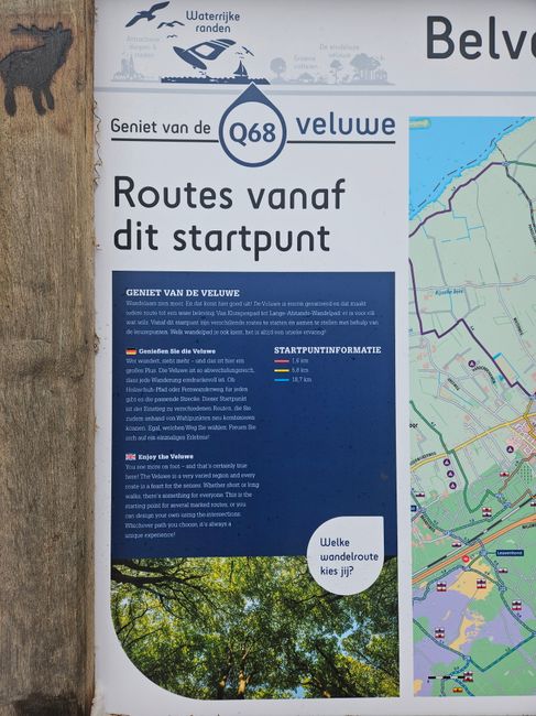 Bord Belvederebos routes