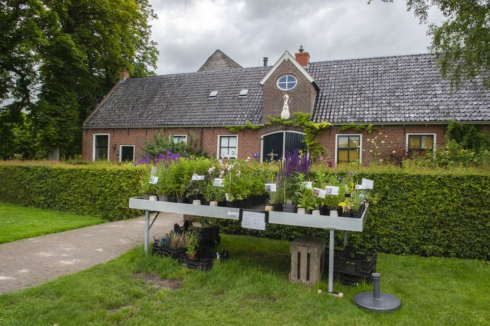 Theeschenkerij OpEwsum