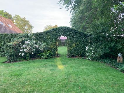 Bezoekerstuin