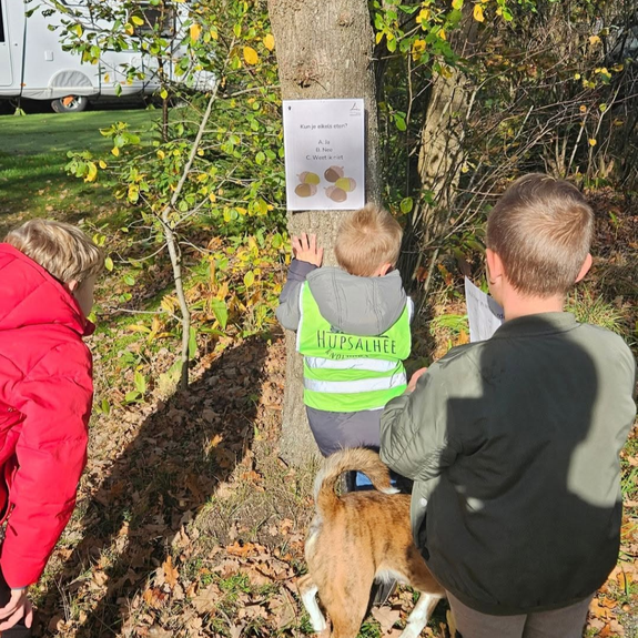 Speurtocht Torentjeshoek
