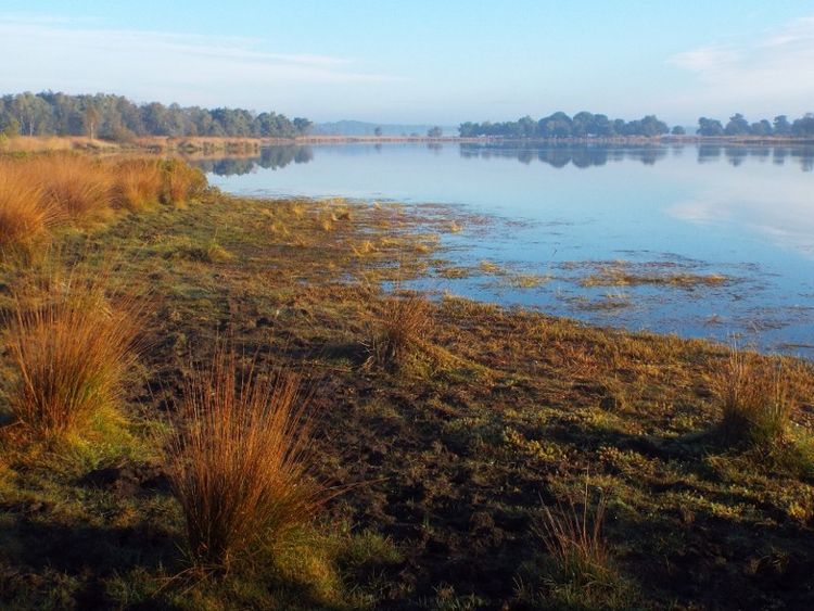 Kuikeindse Heide